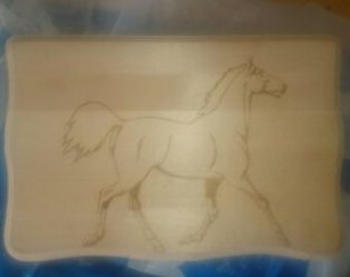 gallery/1529581482855_aa